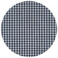 Gingham Sash