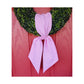 Gingham Sash